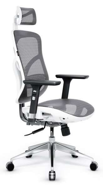 Ergonomická židle DIABLO V-BASIC: bílo-šedá