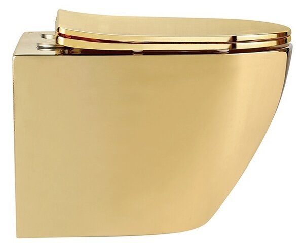 BPS-koupelny Podomítkový modul Geberit DuoFix s WC mísou FW-GL-WH-TR-03 + ovládací tlačítko Delta 50 chrom