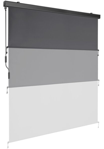 Tectake Svislá markýza Eloise se 2 nástěnnými držáky - 160 x 250 cm, tmavě šedá