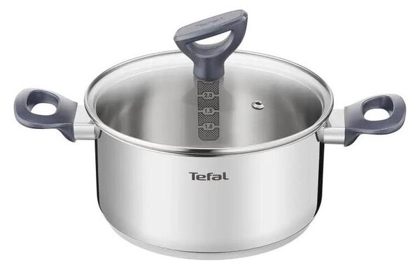 Tefal - Kastrol s poklicí DAILY COOK 20 cm