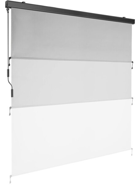 Tectake Svislá markýza Eloise se 2 nástěnnými držáky - 180 x 250 cm, světle šedá