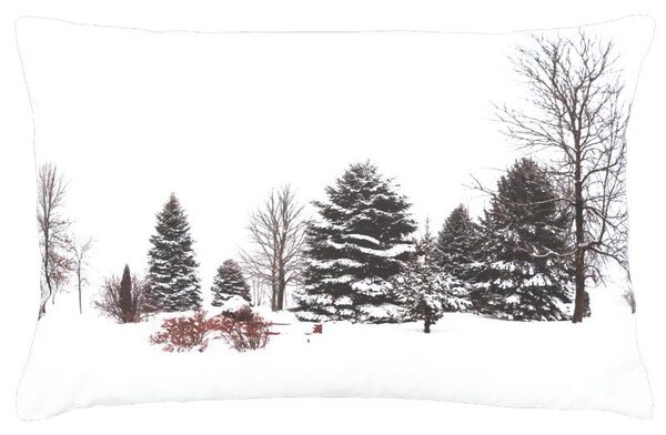Povlak FLORA winter bíločerná 40 x 60 cm
