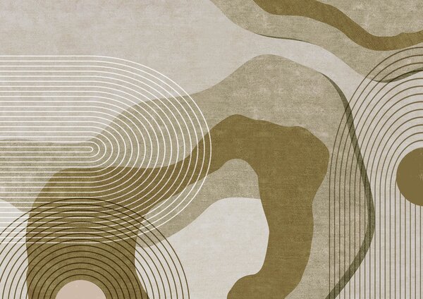 Fototapeta Abstraktní křivky a linie v harmonii, Abstraktní fototapety, Populární fototapety, t00083v1 - Tapeko.co.cz