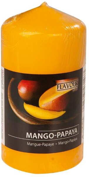 Vonná svíčka válec vůně mango-papaya 11cm 9000267