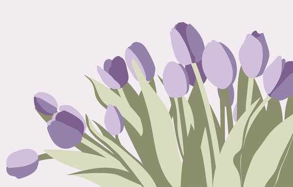 Fototapeta Hromada fialových tulipánů, Květinové fototapety, Populární fototapety, t00126 - Tapeko.co.cz