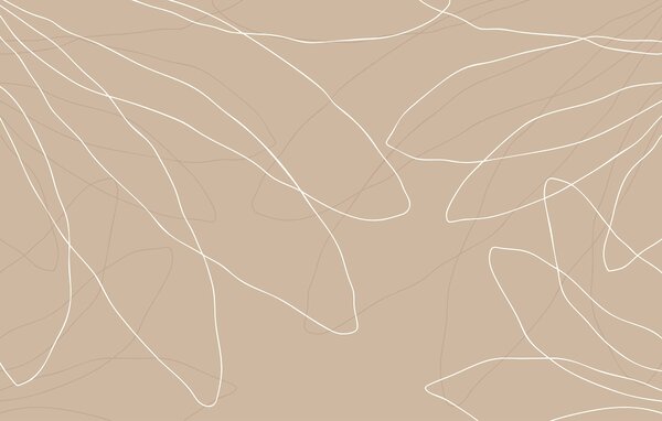 Fototapeta Hnědé a bílé pozadí s čarami, Abstraktní fototapety, Populární fototapety, t00131v1 - Tapeko.co.cz