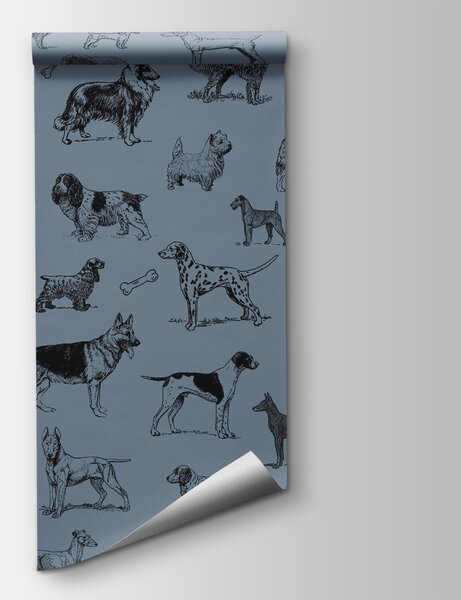Fototapeta Skupina psů na modrém pozadí, Fototapety se zvířaty, Populární fototapety, t00173v1 - Tapeko.co.cz