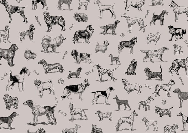 Fototapeta Skupina psů v různých pózách, Fototapety se zvířaty, Populární fototapety, t00173 - Tapeko.co.cz
