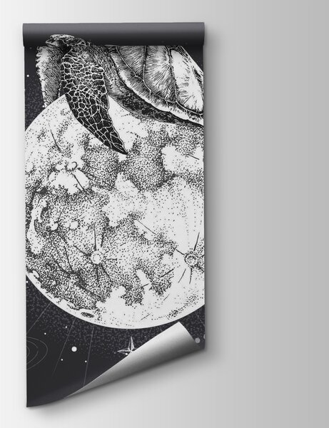 Fototapeta Želva na Měsíci, Vesmírné fototapety, Populární fototapety, t00180 - Tapeko.co.cz