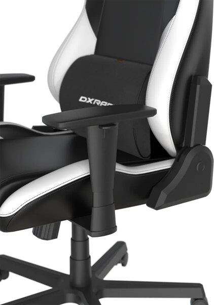Herní židle DXRacer DRIFTING GC/LDC23LTA/NW