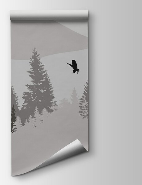 Fototapeta Ptáci letící nad zasněženou horou, Přírodní fototapety, Populární fototapety, t00323 - Tapeko.co.cz