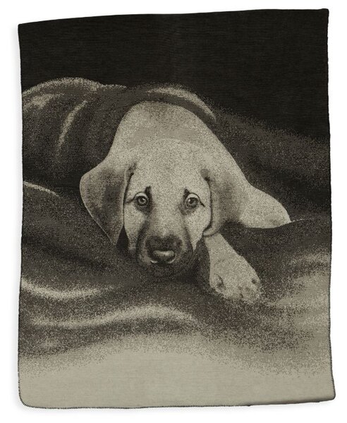 Pléd VELUR STYLE dog černobéžová střední 150 x 200 cm