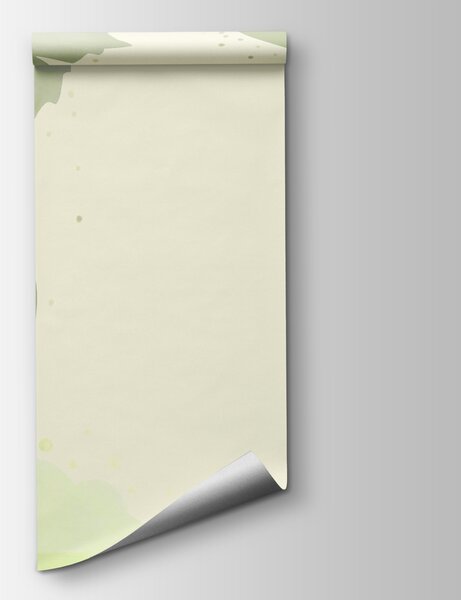 Fototapeta Zelené listy a víry na bílém pozadí, Fototapety s listy, Populární fototapety, t00366 - Tapeko.co.cz