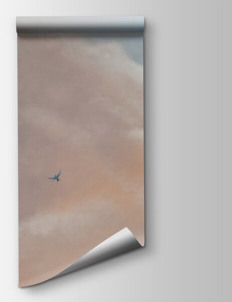Fototapeta Ptáci létající na obloze, Nebeské fototapety, Populární fototapety, t00306 - Tapeko.co.cz