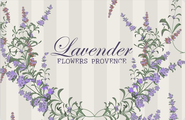 Prostírání plastové Lavender Provence 4ks/bal 43*28cm 1000683