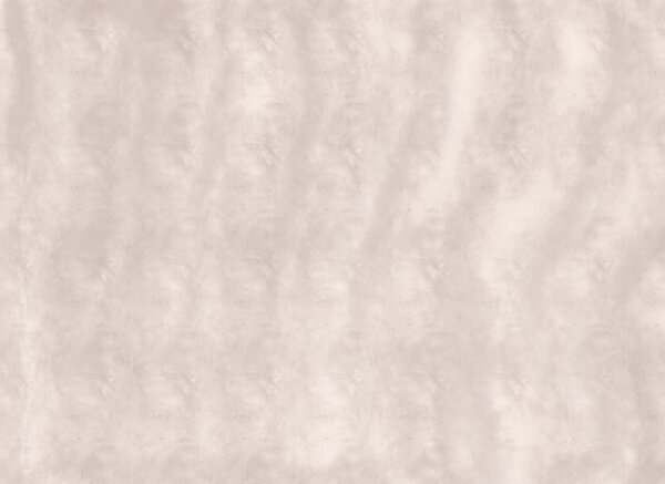 Fototapeta Klidné a jemné neutrální pozadí, Fototapety s texturou, Populární fototapety, t00423 - Tapeko.co.cz