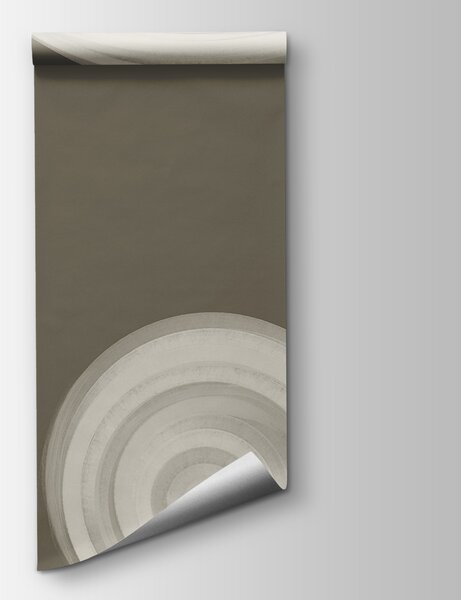Fototapeta Bílý vířící objekt na hnědém pozadí, Abstraktní fototapety, Populární fototapety, t00442 - Tapeko.co.cz