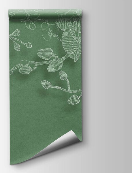 Fototapeta Jemné orchideje na zeleném pozadí, Květinové fototapety, Populární fototapety, t00526 - Tapeko.co.cz