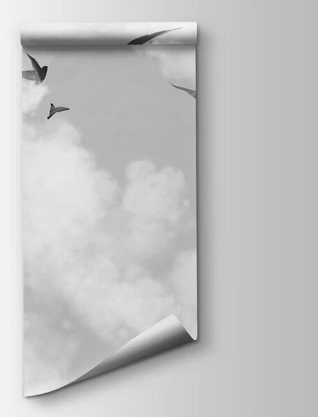 Fototapeta Ptáci létající ptáci na obloze, Nebeské fototapety, Populární fototapety, t00532 - Tapeko.co.cz