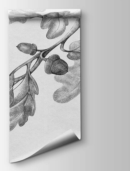Fototapeta Kresba větve s listy, Moderní fototapety, Populární fototapety, t00475 - Tapeko.co.cz