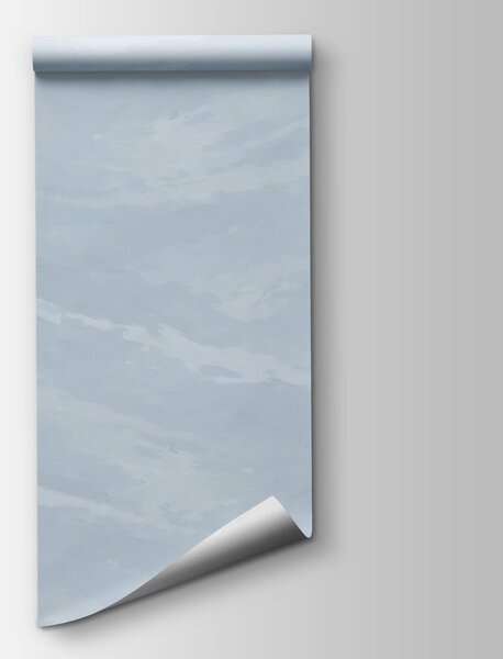 Fototapeta Bílé a šedé pozadí, Abstraktní fototapety, Populární fototapety, t00538v1 - Tapeko.co.cz