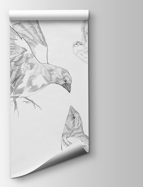 Fototapeta Skupina ptáků s křídly, Moderní fototapety, Populární fototapety, t00562 - Tapeko.co.cz