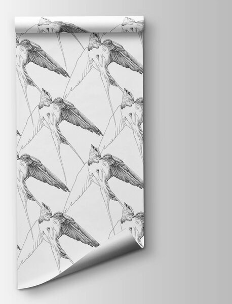 Fototapeta Skupina ptáků s křídly, Moderní fototapety, Populární fototapety, t00565 - Tapeko.co.cz