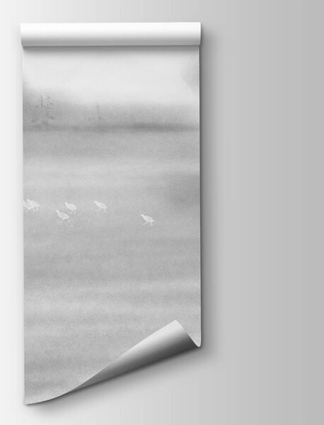 Fototapeta Ptáci na poli, Moderní fototapety, Populární fototapety, t00569 - Tapeko.co.cz