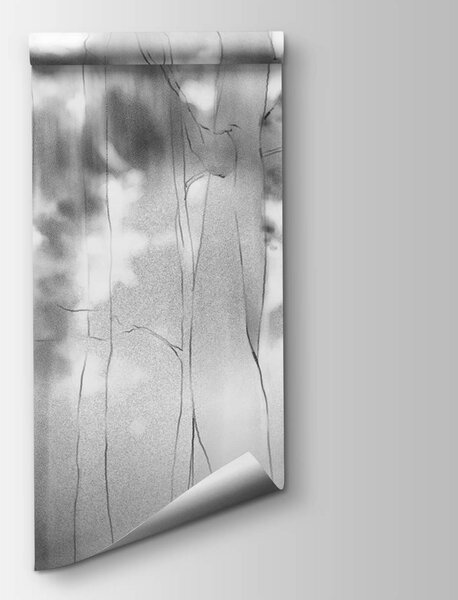 Fototapeta Černobílý obrázek stromů, Fototapety s mlžným lesem, Populární fototapety, t00567 - Tapeko.co.cz