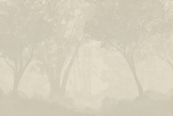 Fototapeta Zamlžený les se stromy, Lesní fototapety, Populární fototapety, t00577 - Tapeko.co.cz