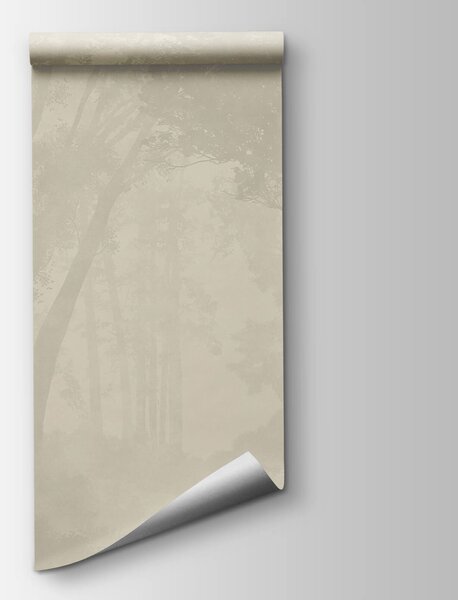 Fototapeta Zamlžený les se stromy, Lesní fototapety, Populární fototapety, t00577 - Tapeko.co.cz