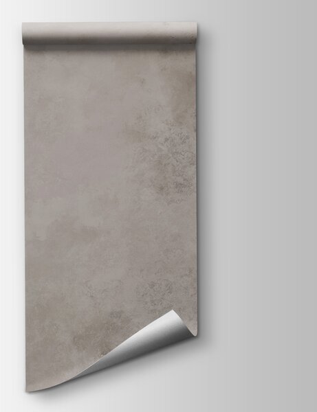 Fototapeta Hnědé listy na bílém podkladu, Fototapety s listy, Populární fototapety, t00558 - Tapeko.co.cz