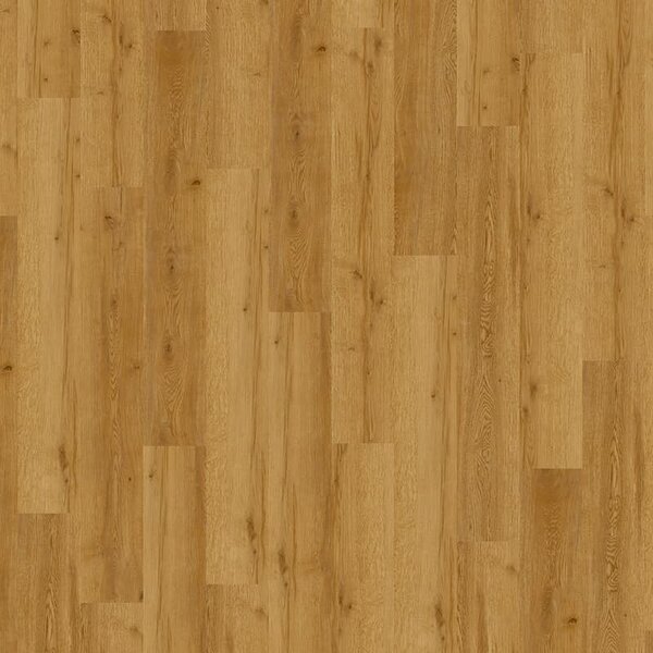Vinylová podlaha Objectflor Expona Domestic 5834 Golden Valley Oak