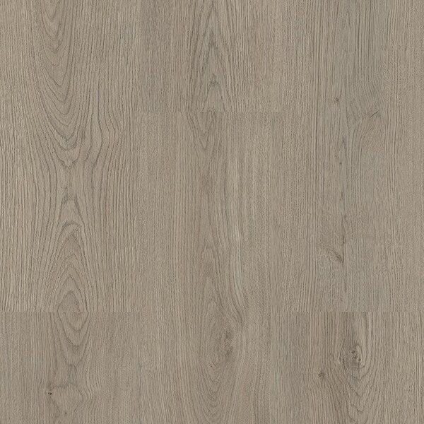 Vinylová podlaha BRASED Objectline lepený 9781 Dub Vigo šedý