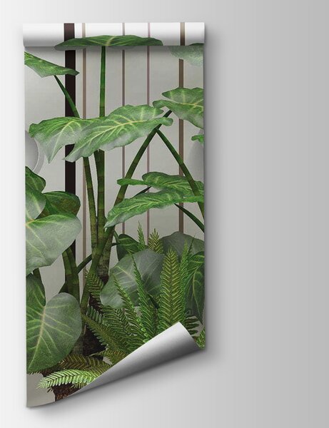 Fototapeta Rostlina se zelenými listy, Přírodní fototapety, Populární fototapety, u35303 - Tapeko.co.cz