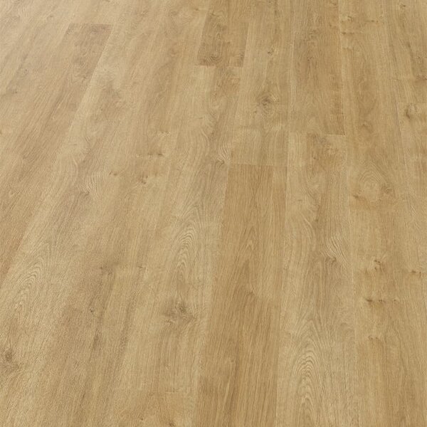 Vinylová podlaha Objectflor Expona Design 6220 Light Classic Oak