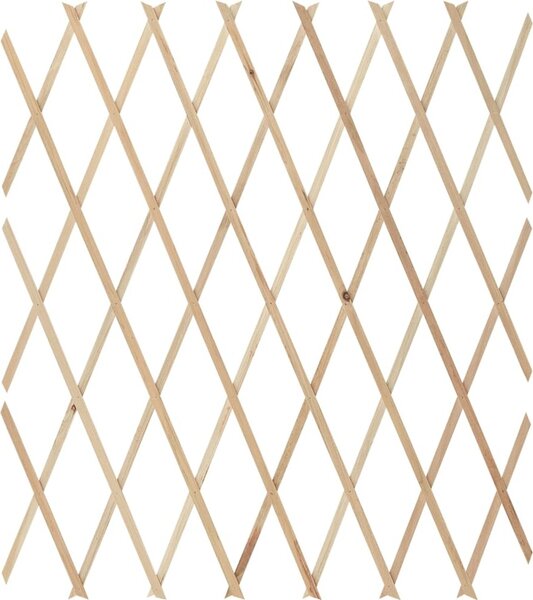VidaXL Trelážové ploty 5 ks masivní jedlové dřevo 180 x 80 cm [316422] Barva: Hnědá