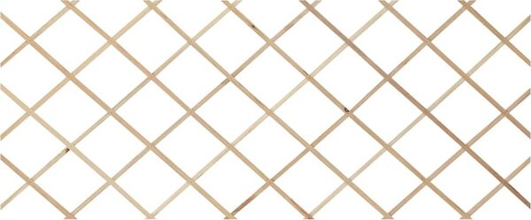 VidaXL Trelážové ploty 5 ks masivní jedlové dřevo 180 x 80 cm [316422] Barva: Hnědá