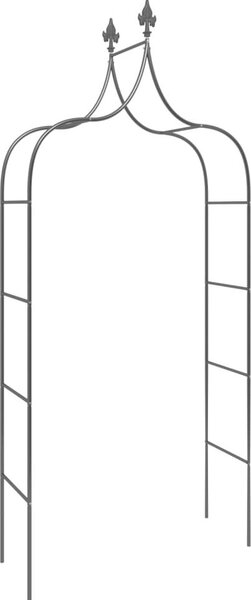 VidaXL Zahradní oblouky 2 ks černé 120 x 38 x 260 cm ocel [319349]