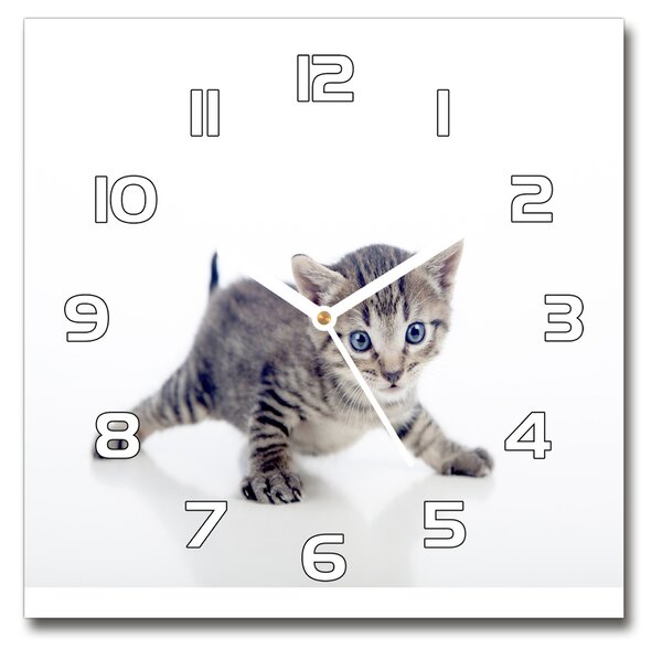 Skleněné nástěnné hodiny čtverec Malá kočka pl_zsk_30x30_f_95620650