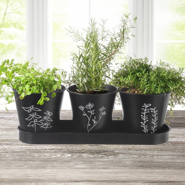 Kovové květináče na bylinky v sadě 3 ks ø 11 cm Black – Orion