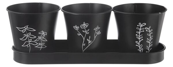 Kovové květináče na bylinky v sadě 3 ks ø 11 cm Black – Orion