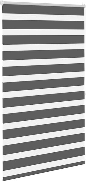 VidaXL Zebrová roleta 100,9 x 175 cm Šířka látky 96,7 cm [240211] Barva: Hnědá