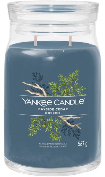 Velká vonná svíčka Yankee Candle Bayside Cedar