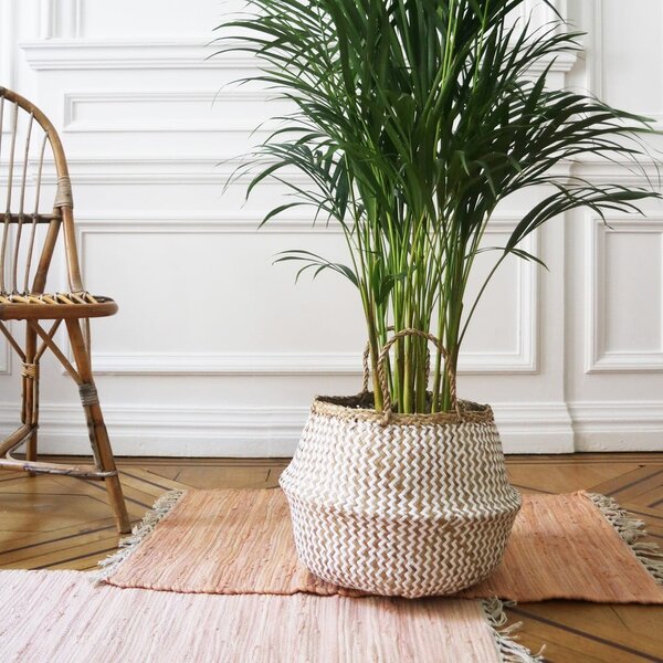 Světlý úložný košík z mořské trávy Compactor Zic Zac, ⌀ 35 cm