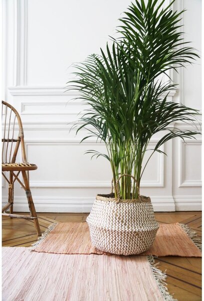 Světlý úložný košík z mořské trávy Compactor Zic Zac, ⌀ 35 cm