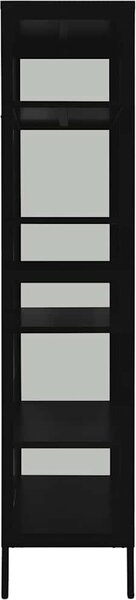VidaXL Vitrína 90 x 40 x 180 cm ocel a tvrzené sklo [336079] Barva: Černá