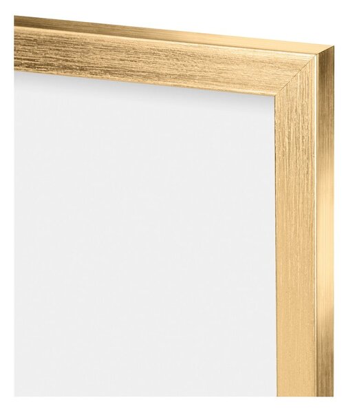 Obrazy v sadě 3 ks 30x40 cm Fern – knor