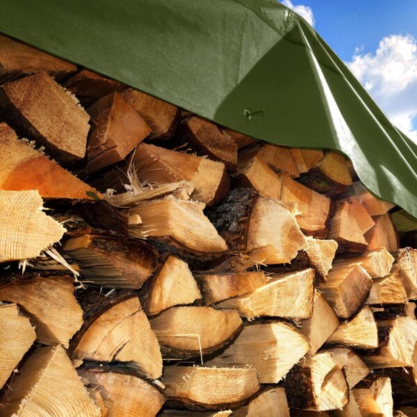 Krycí plachta s oky 4x5 m, 100g PE SPRINGOS GA21824 zelená
