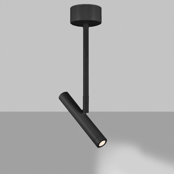 ZAHO Stropní LED svítidlo HOLD MD1, 6W, v. 316 mm, 55° Barva: Bílá, Teplota světla: 3000K - teplá bílá